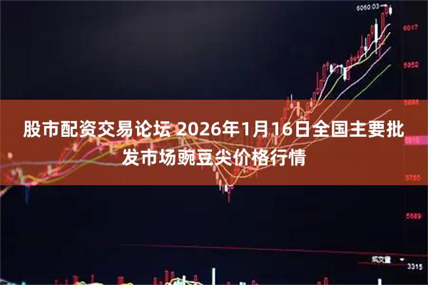 股市配资交易论坛 2026年1月16日全国主要批发市场豌豆尖价格行情